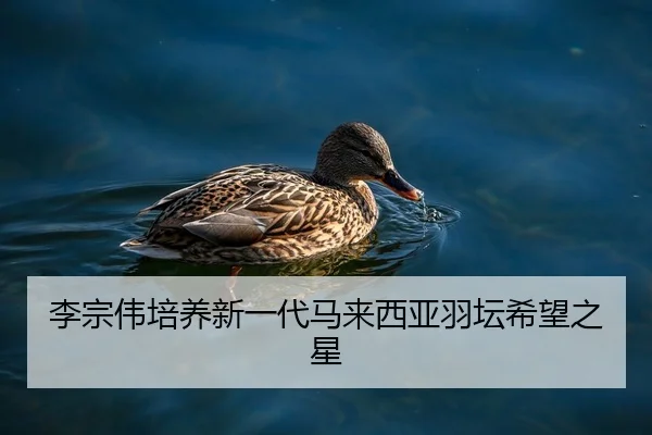 李宗伟培养新一代马来西亚羽坛希望之星 | hth
